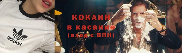 мескалин Няндома