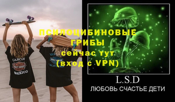 MDMA Premium VHQ Нязепетровск