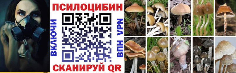 Псилоцибиновые грибы Psilocybe  Тында 