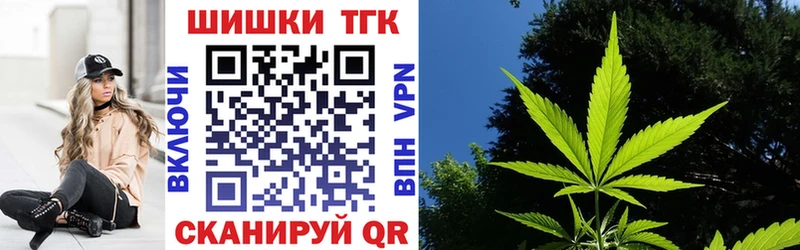 Бошки Шишки планчик  Тында 